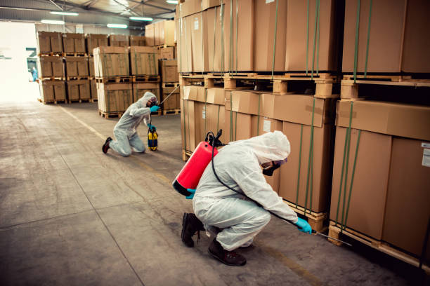 Best Termite Control Services  in Eureka, MO