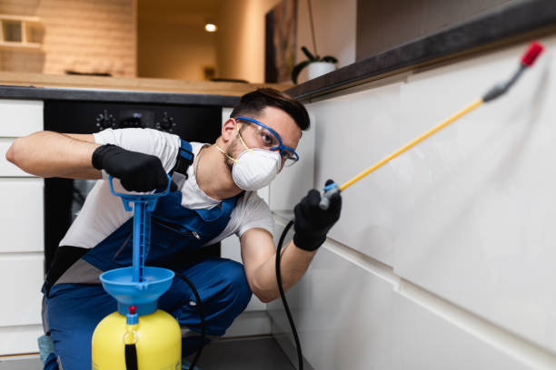 Best Residential Pest Control  in Eureka, MO