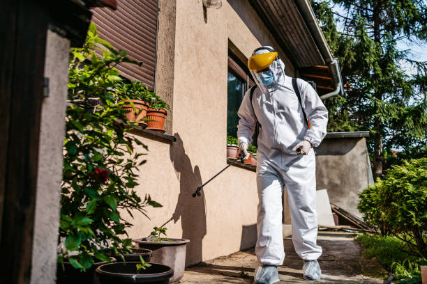 Best Wasp Removal Services  in Eureka, MO