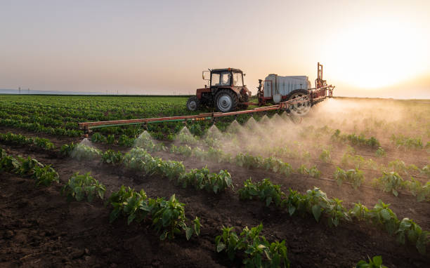 Professional Pest Control in Eureka, MO