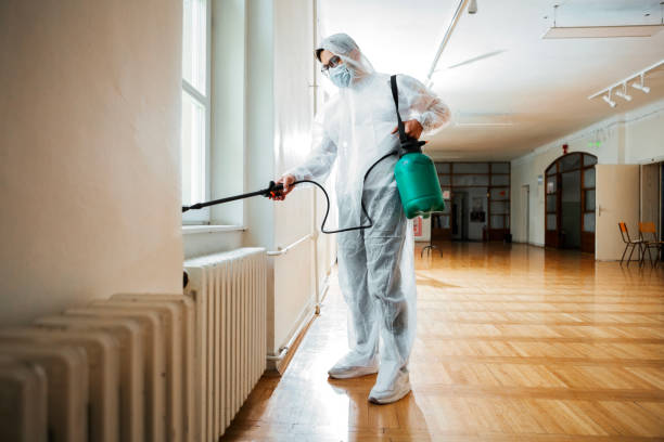 Best Local Pest Control Services  in Eureka, MO