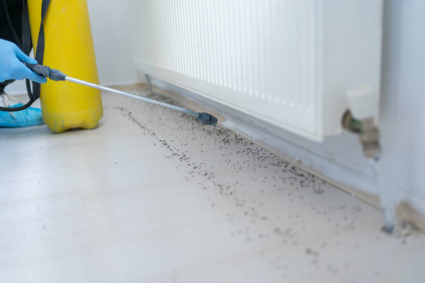 Best Mosquito Control Services  in Eureka, MO