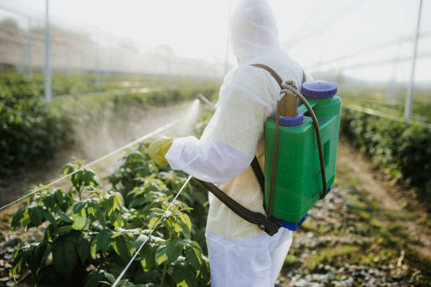 Best Cockroach Control Services  in Eureka, MO